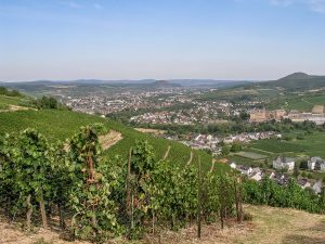 Ahr Valley vineyards with Bad Neuenahr in the background